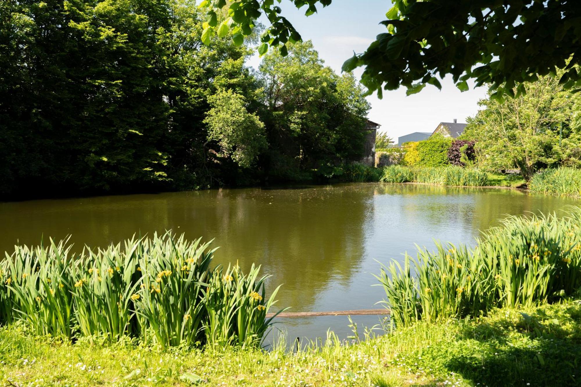 Gite L'Orangerie Du Chateau D'Emalleville Bagian luar foto
